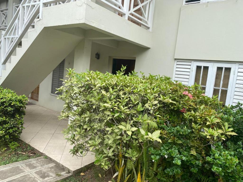 Finest Renfrew Place 1 Bedroom # 42 New Kgn 4--12 Renfrew Rd Kingston